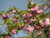 img_3074_small.jpg