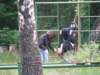 img_7251_small.jpg