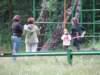 img_7255_small.jpg